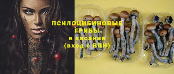 таблы Киров