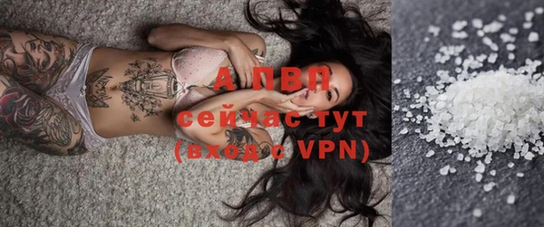 гашик Кулебаки