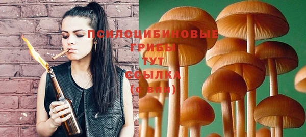 сатива Краснотурьинск