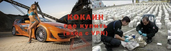 гашик Кулебаки