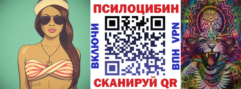 Галлюциногенные грибы Psilocybine cubensis  Магнитогорск 